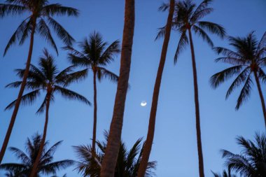 Tayland 'da il statüsü verilen tek ada olan Phuket, el değmemiş bir çevreye sahip ünlü bir tatil adasıdır..
