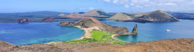 Galapagos Adaları 'nın bir parçası olan Bartolome Adası, Santiago Adası' nın doğu kıyısında küçük bir volkanik adadır.. 