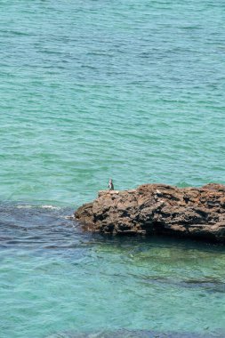 Galapagos Adaları 'nın bir parçası olan Bartolome Adası, Santiago Adası' nın doğu kıyısında küçük bir volkanik adadır.. 