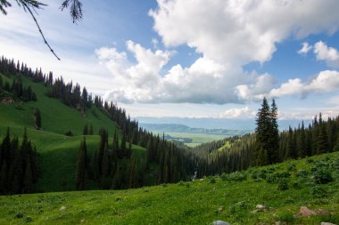 Güzel Nalati Çayırı, Xinjiang, Çin