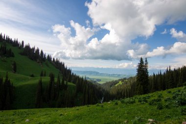 Güzel Nalati Çayırı, Xinjiang, Çin