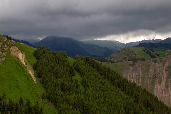 Vackra Nalati Grassland Xinjiang Kina — Stockfoto