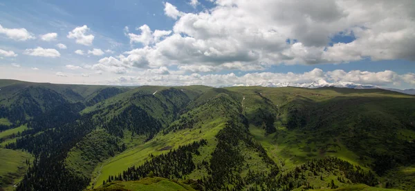 Грассланд Синьцзян Китай — стоковое фото