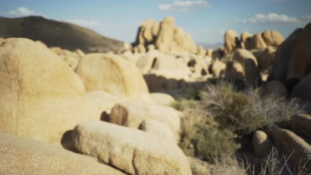 Велика Кількість Валунів Відстані Розповсюджується Над Долиною Пустелі Зеленого Екрану — стокове відео
