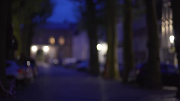 夜に木々が並ぶ静かで暗い街の通りのフォーカスの背景プレートのうち 緑の画面構成のための夜に小さな街の歩道のぼやけた外観ビデオの背景 — ストック動画