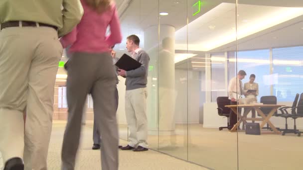 Занятые Офисные Работники Встречаются Коридоре — стоковое видео