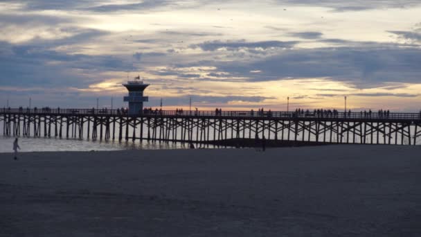 緑の画面やクロマキーのための前景に桟橋と砂と絵のような夕日 合成やキーのためのフォーカスやフォーカスを外して撮影しました — ストック動画