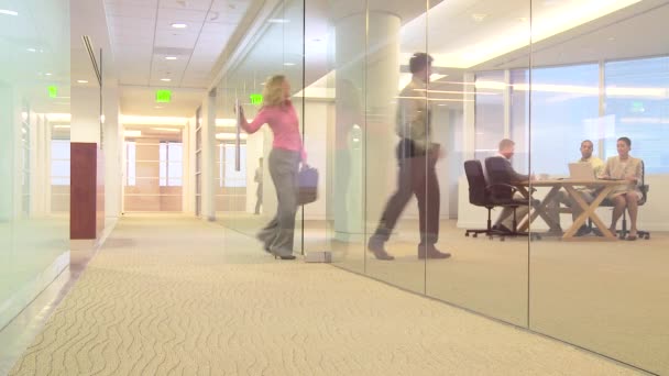 Busy Office Employees Work — Stock Video