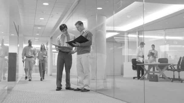 现代工作场所忙碌的办公室工作人员 — 图库视频影像