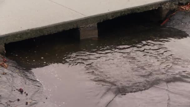 Woda Deszczowa Wpadająca Kanału Burzowego — Wideo stockowe