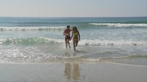 若いカップルが海から逃げキス — ストック動画