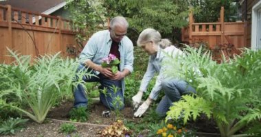 Üst düzey çift bahçede Bahçe