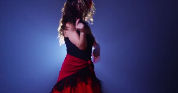 Sexy Mista Mulher Flamenco Dançando — Vídeo de Stock