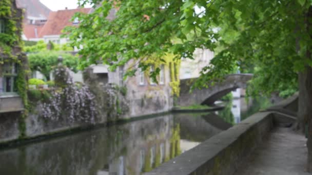 Panning Out Focus Achtergrond Plaat Van Loopbrug Naast Kanaal Brugge — Stockvideo