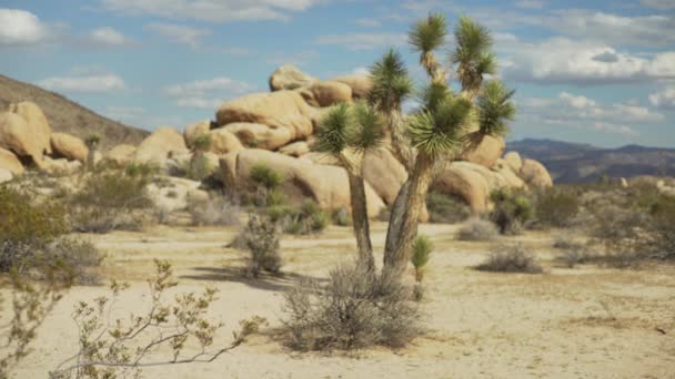 Широкая Пустынная Долина Облачным Небом Зеленого Экрана Хроматического Ключа Фокусе — стоковое видео