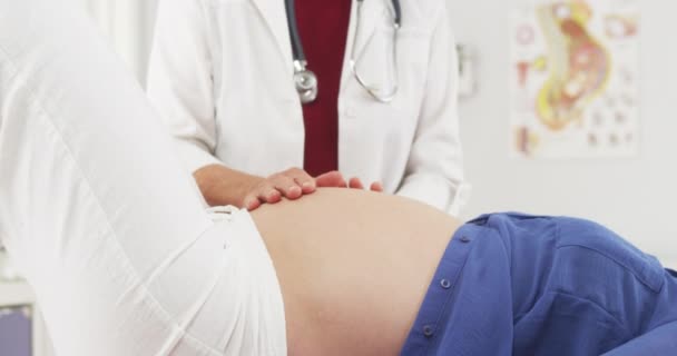 Médico Senior Revisando Estómago Mujer Embarazada — Vídeo de stock