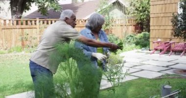 Üst düzey Afrikalı çift bahçede Bahçe