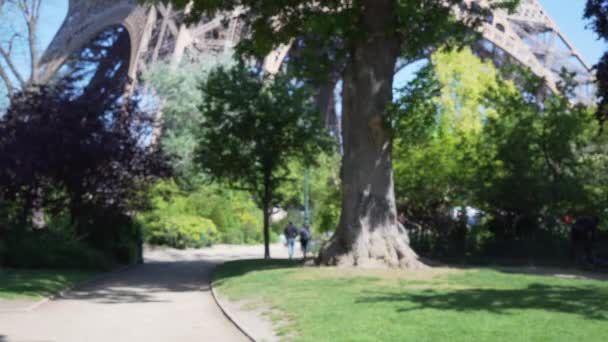 View Dirt Trail Path Lush Green Park Eiffel Tower Paris — Stock Video