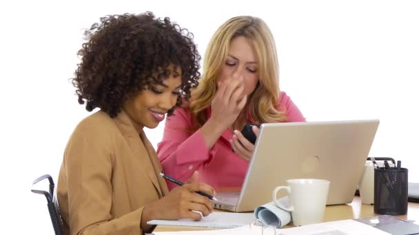 Two Businesswomen Working Laptop Together — Stock Video