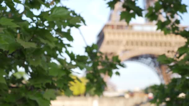 파리에 있었습니다 프랑스 기념물 의나무 클로즈업 — 비디오