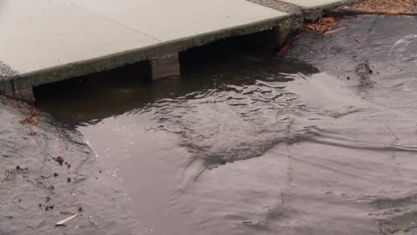 Woda Deszczowa Wpadająca Kanału Burzowego — Wideo stockowe