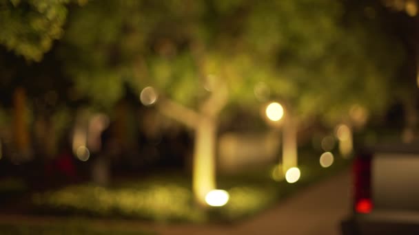 城市公园里灯光明亮的树木和人行道的模糊背景板 城市公园的视频背景在一条晚上交通较少的街道上 — 图库视频影像