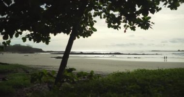 Kosta Rika sahilindeki okyanus dalgalarının manzarası. İki turist yürürken. Ağacın arkasındaki kıyı şeridinde kopan deniz dalgalarının odaklanmış görüntüsü. 4k