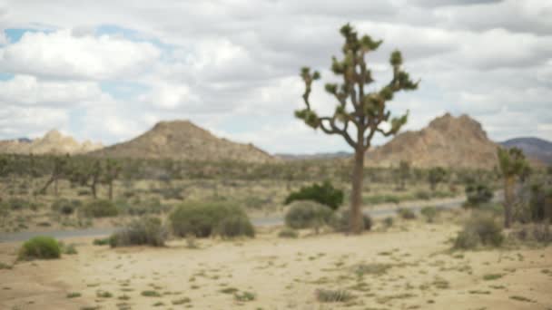 Expansive Valley Large Mesas Distance Green Screen Chroma Key Out — Stock Video