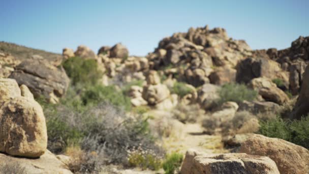 Trail Rocks Leading Rocky Mesa Green Screen Chroma Key Out — Stock Video