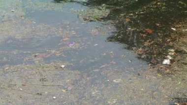 Büyük yağmur sularında yüzen enkaz yığınları