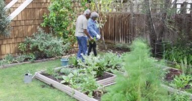 Üst düzey siyah çift Garden'da