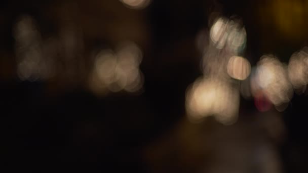 Fuera Foco Luces Ciudad Bokeh Con Una Palma Fuera Foco — Vídeos de Stock