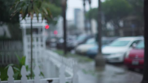 背景緑のスクリーンやクロマキーのための距離で木が吹いてボケライトと街の通りに雨前線芝生のプレート 合成やキーのためのフォーカスやフォーカスを外して撮影しました — ストック動画