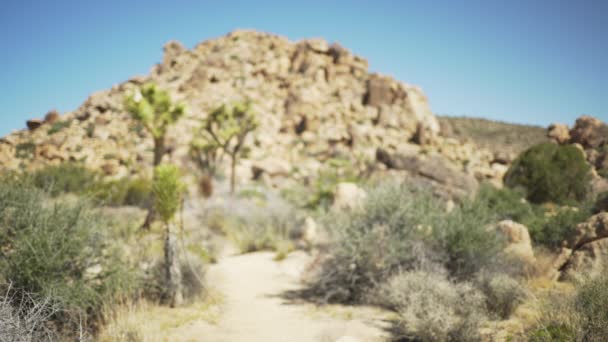 Una Gran Colina Rocas Cantos Rodados Desierto Para Pantalla Verde — Vídeo de stock