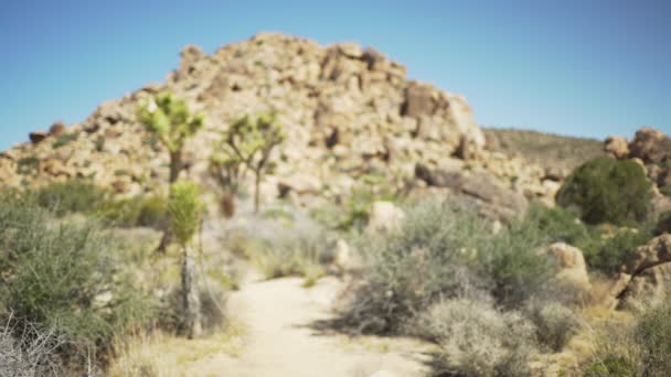 Una Grande Collina Rocce Massi Nel Deserto Schermo Verde Chiave — Video Stock