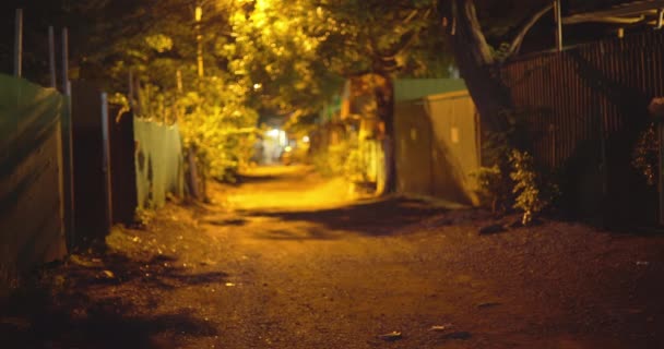 コスタリカの町の暗い都市の路地を背景にしたビデオ 木々や影と夜に空の裏通りを見下ろす — ストック動画