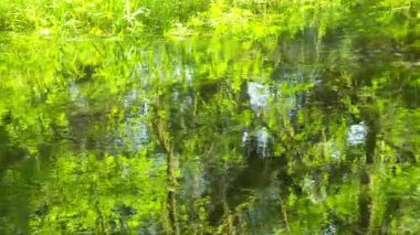 Nehir Yansımaları Görünümü