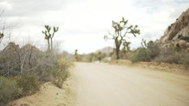 Büyük bir çöl otoyolu yeşil ekran veya kroma anahtarı için kayalık bir tepecikten ve bir sürü yukka ağacından geçiyor. Birleşiklik veya anahtarlama için odak dışı veya odaklanmış çekim.