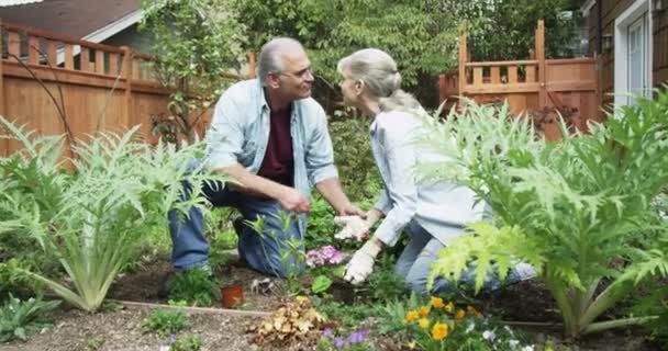 Heureux Couple Aîné Jardinage Dans Cour — Video