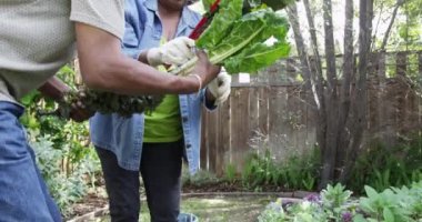 Olgun siyah çift birlikte Bahçe