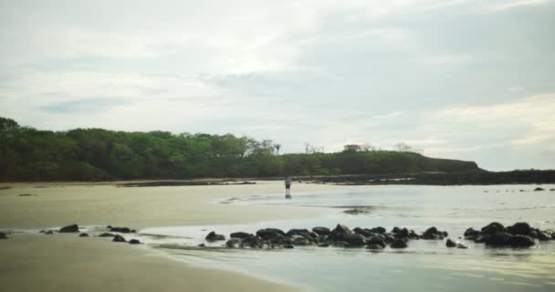 Tiro Ângulo Largo Costa Praia Com Homem Andando Pela Água — Vídeo de Stock