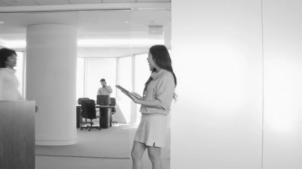 Ofiste Arka Planda Bir Erkekle Konuşan Iki Kadını — Stok video