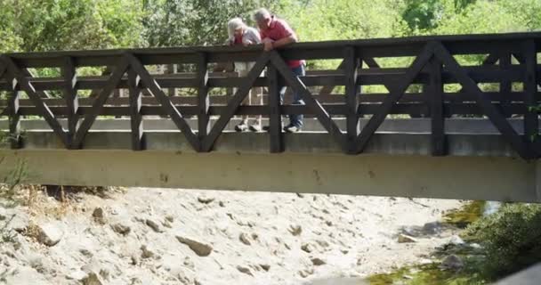 Idős Pár Hídon Akik Lefelé Néznek — Stock videók