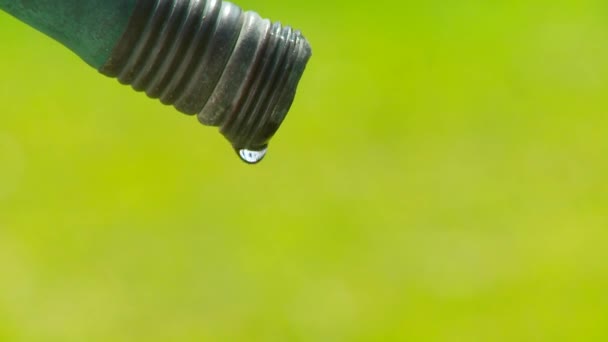 Profilbild Einer Gartenschlauch Düse Die Wasser Tropft — Stockvideo