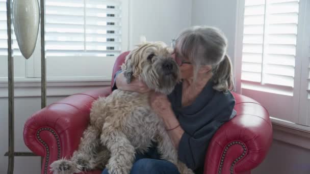 Boldog Végzős Simogatja Megcsókolja Kutyáját Otthon Idősebb Fehér Hölgy Wheaton — Stock videók