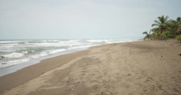 해변에서 야자수와 해변에 부딪히는 가운데 사격을 받았다 여름의 코스타 해변은 — 비디오