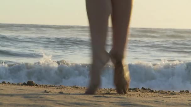 与年轻女子共舞的海滩芭蕾舞团 — 图库视频影像