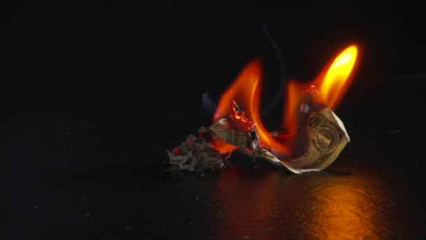 美元钞票燃烧然后烧成灰烬 — 图库视频影像