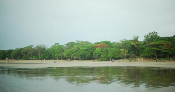 典型的哥斯达黎加海滩被红树林环绕的广角镜头 靠近森林的海岸线使游客们放松 — 图库视频影像