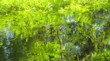 Nehir Yansımaları Görünümü